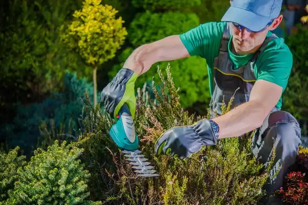 landscaping services Lake Lorelei
